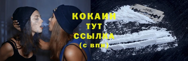 первитин Осинники