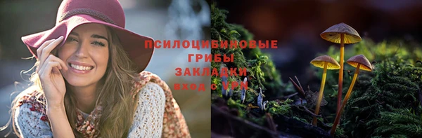 герыч Няндома