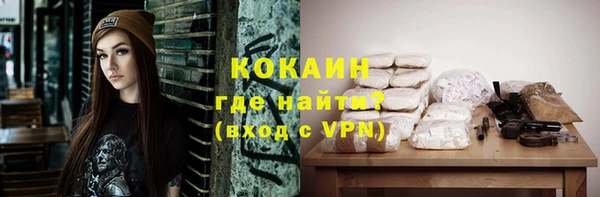 дурь Осташков
