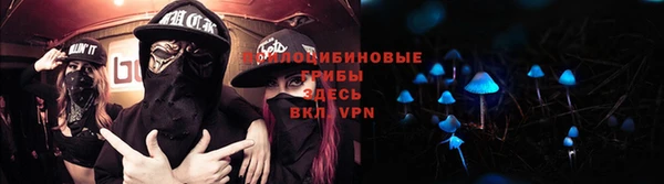 дурь Осташков