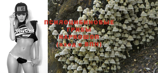 apvp Нягань