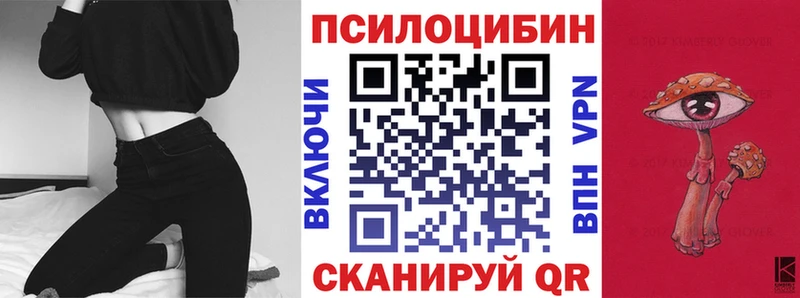 MEGA   купить наркотик  Томск  Псилоцибиновые грибы мицелий 