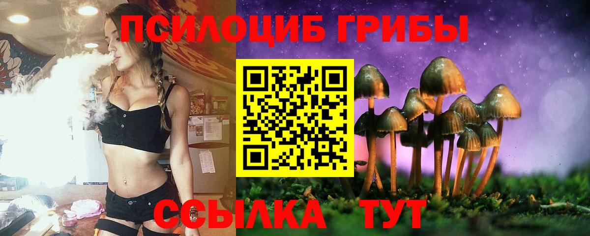 Томск  Псилоцибиновые грибы Cubensis  Галлюциногенные грибы ЛСД  Вход с VPN 