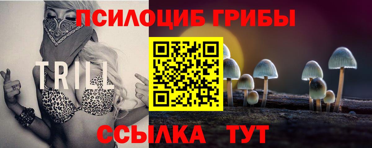 Псилоцибиновые грибы Psilocybine cubensis Томск